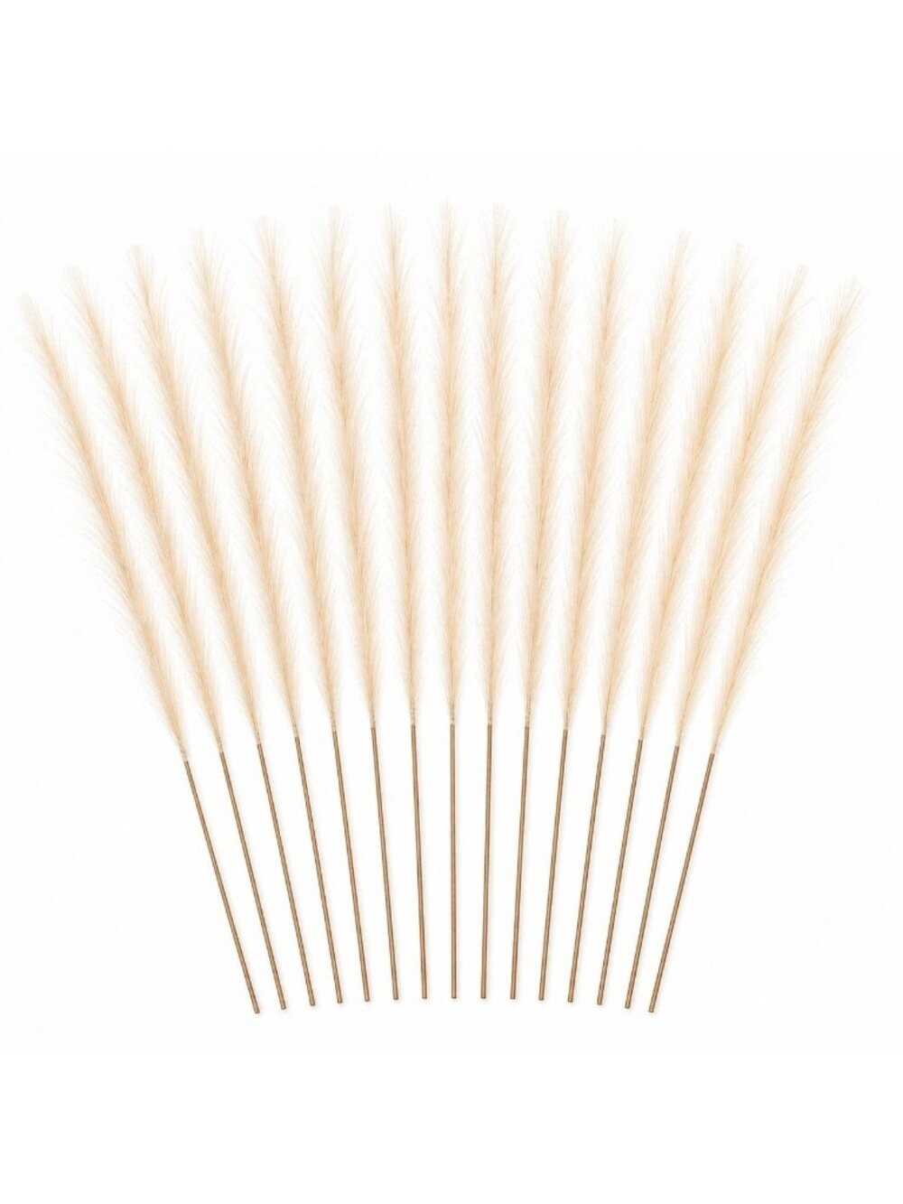 Ivory Artificial Pampas Grass Stems Set of 16, 31 Inch Faux Plumes for Tall Vase